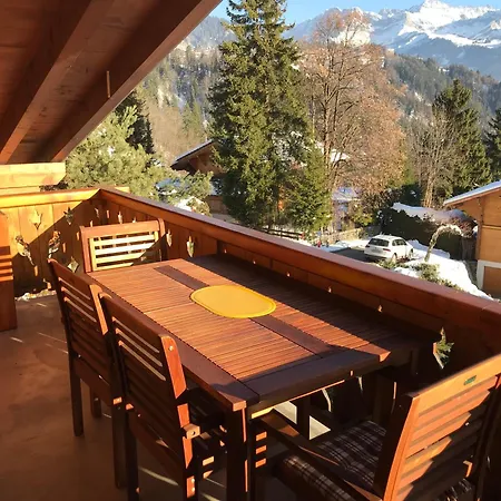 公寓 & Summer In Villars-chesieres 切希尔雷斯